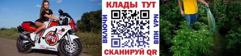 Где продают наркотики Лодейное Поле ГАШИШ  hydra сайт  АМФ  СК  Канабис  Мефедрон  КОКАИН 
