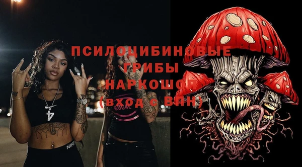 мет Алексин
