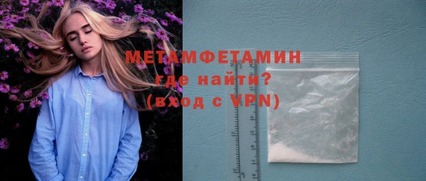 мет Алексин