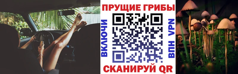 Галлюциногенные грибы MAGIC MUSHROOMS  Лодейное Поле 