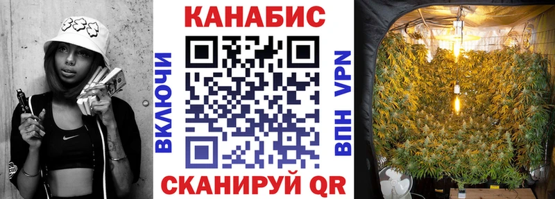 Бошки марихуана план  Лодейное Поле 